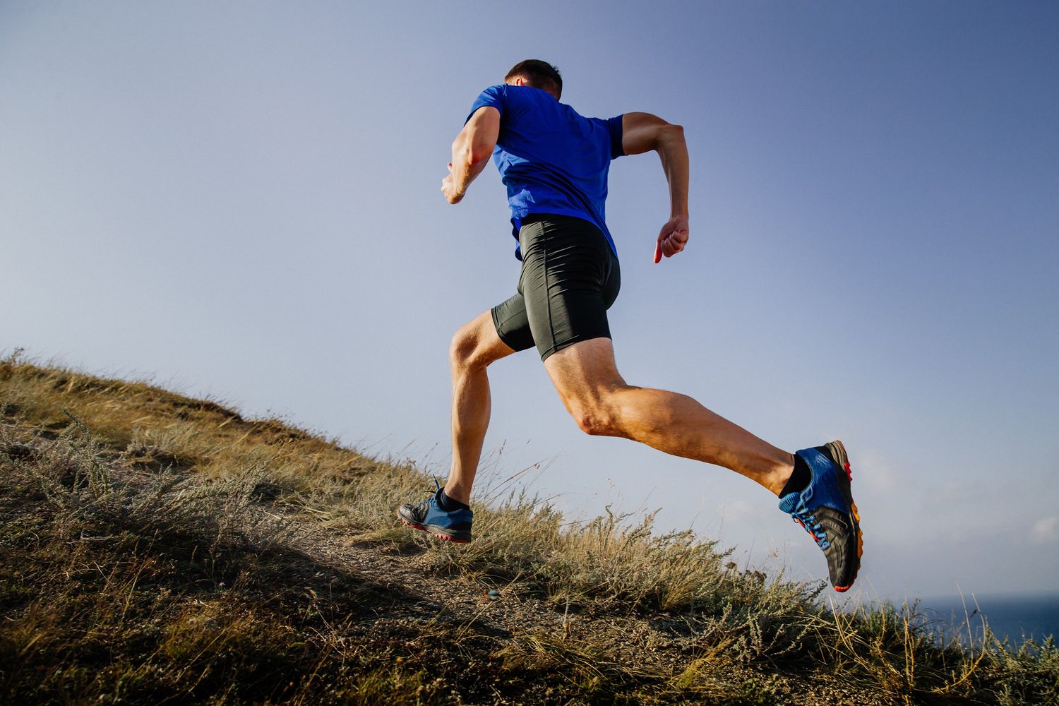 Fell runner